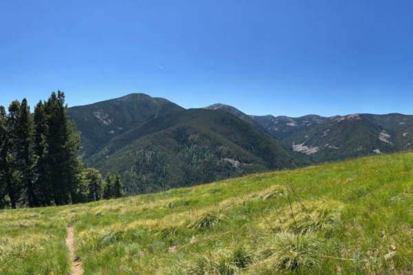 Divide Trail #106 to Twin Creek Ridge Trail