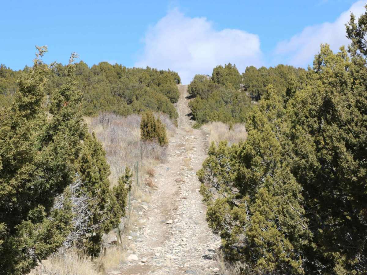 Little Mountain Loop photo 5