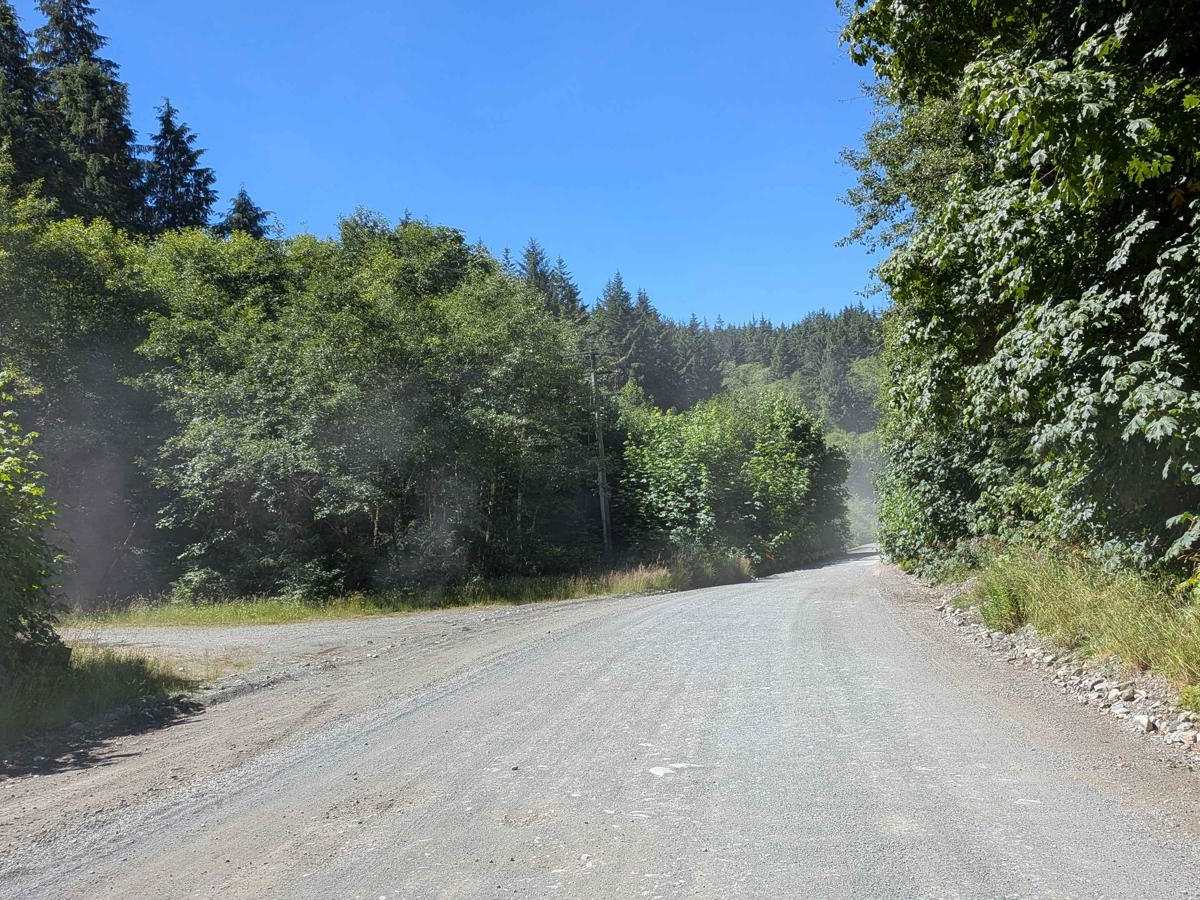 Cowichan Main trail photo
