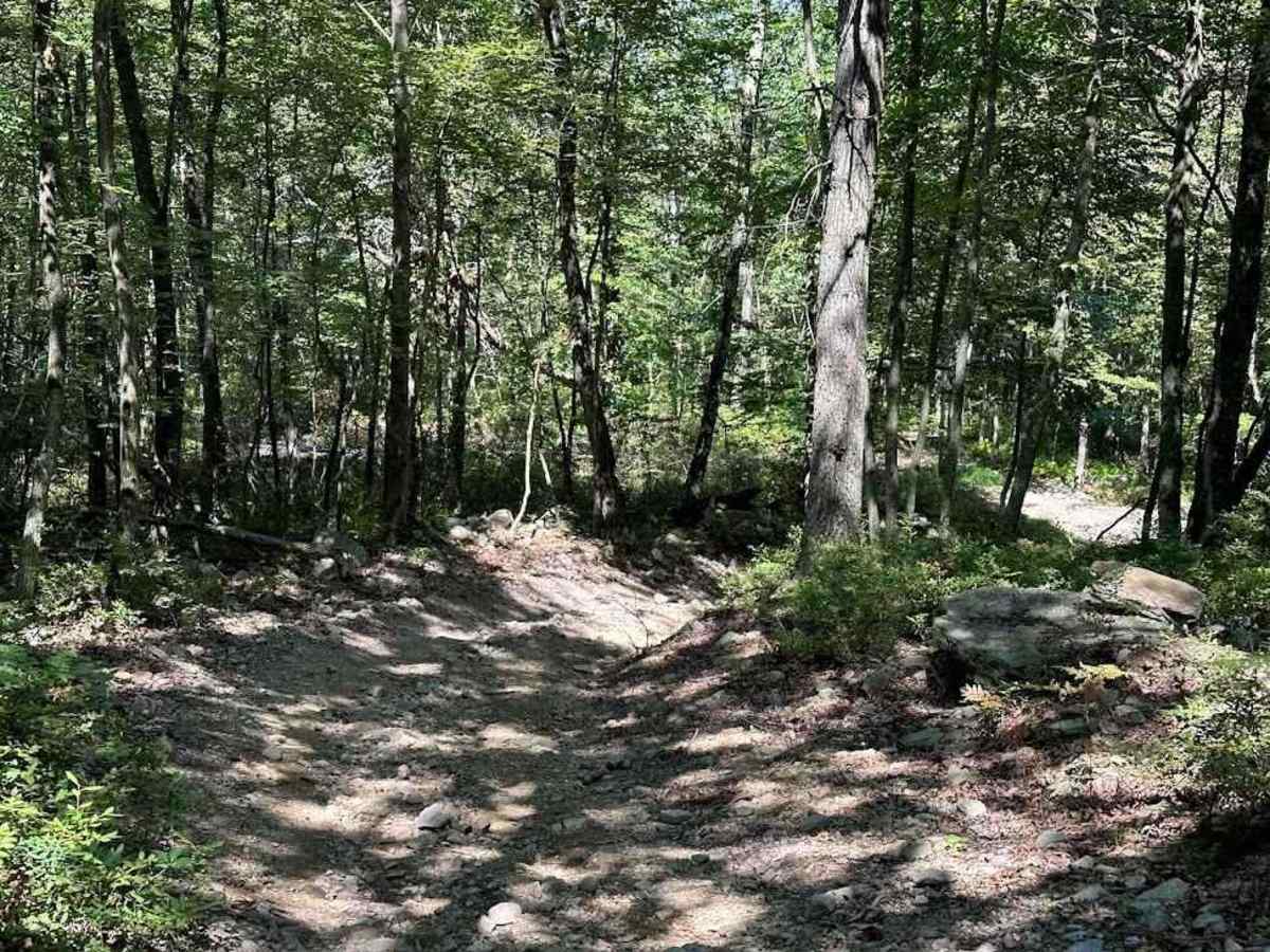 43 Blue trail photo