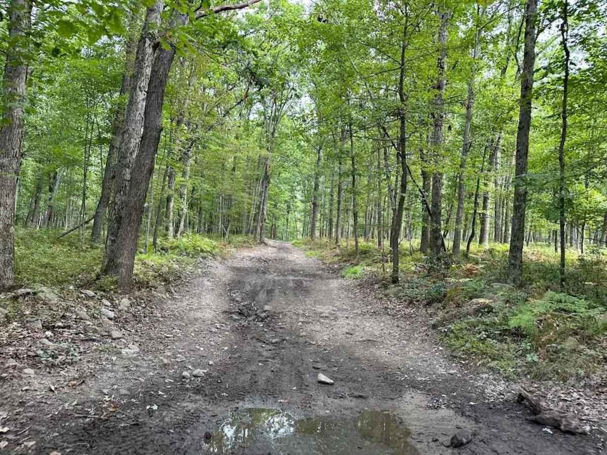 Shootout Green trail photo