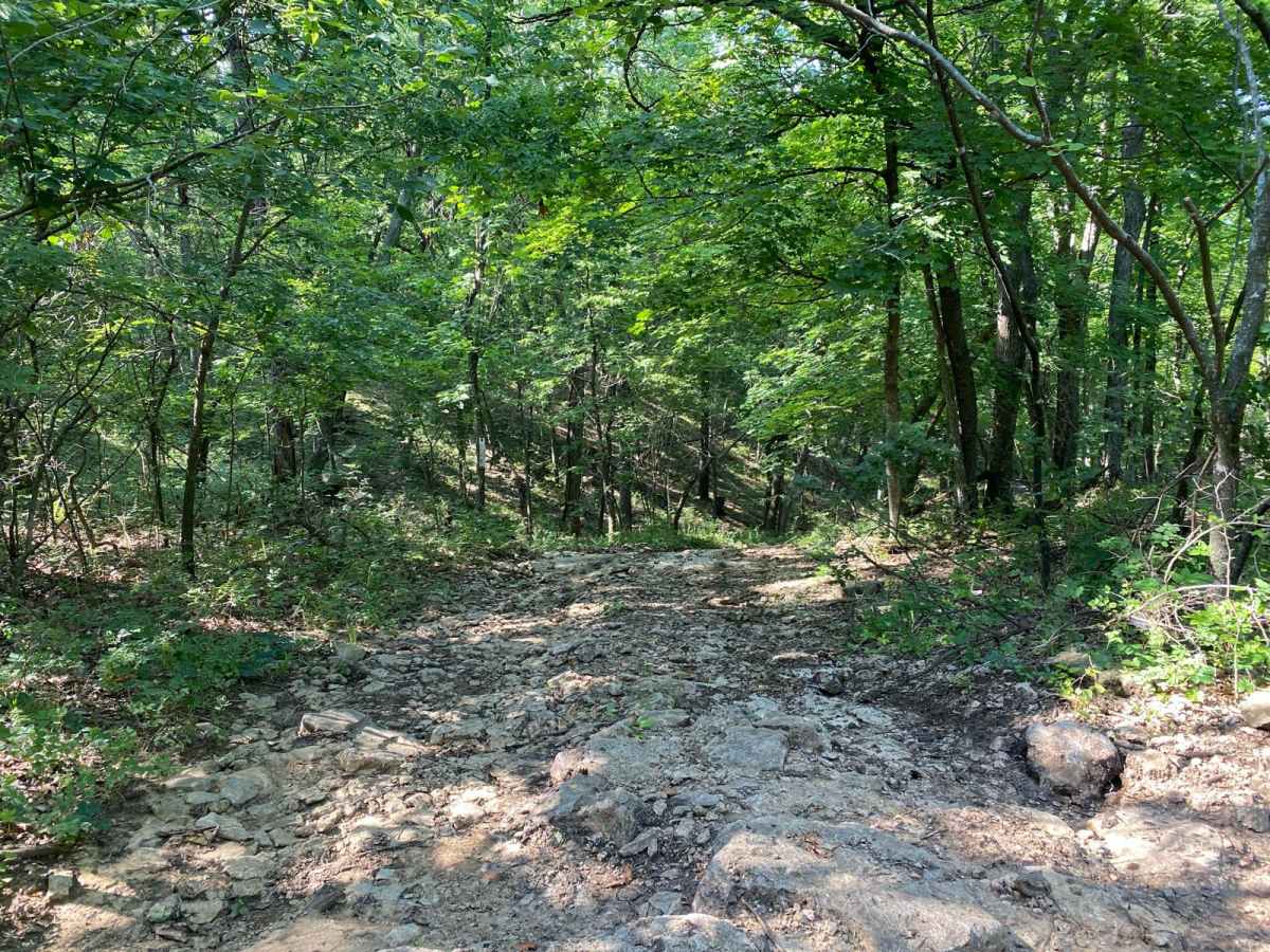 Buck Hill photo 3