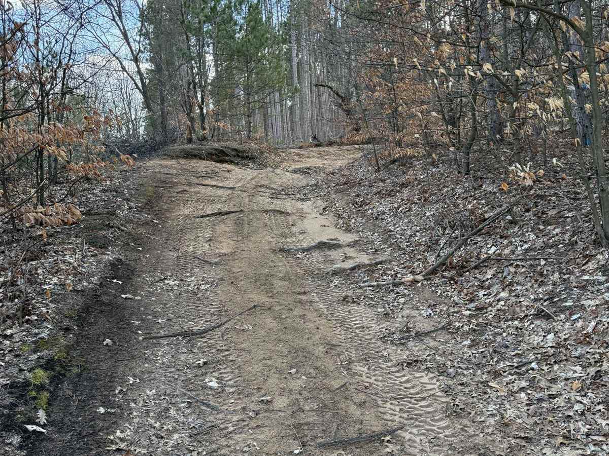 NFS 5201 trail photo