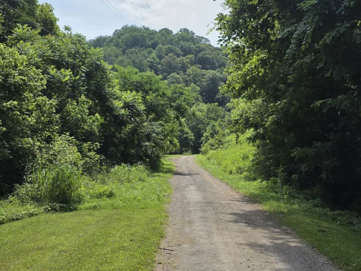Dry Branch to Dixon Creek Road - Macon County Tour trail photo