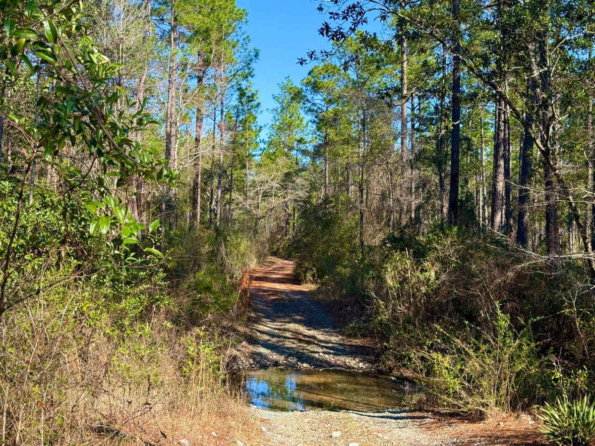 Florida State R78 photo 4