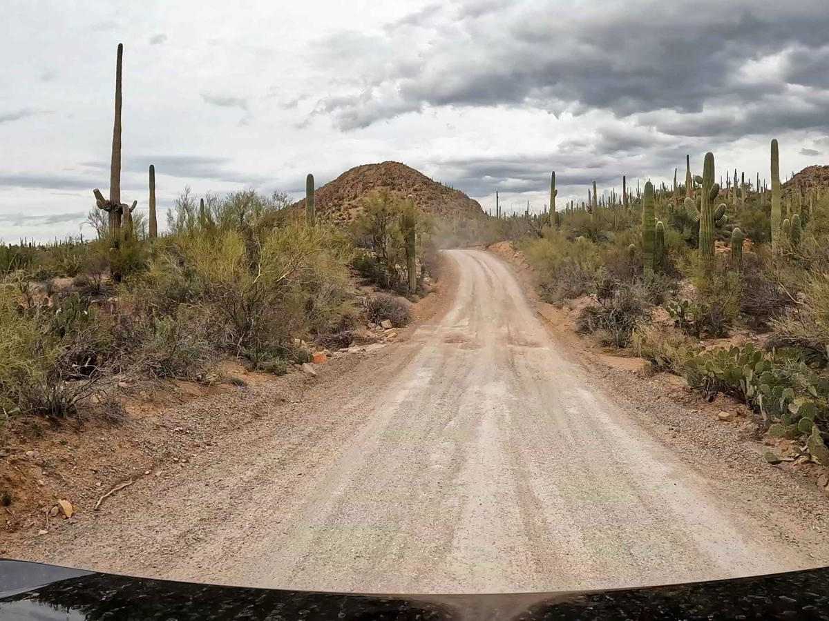 Bajada Loop, Saguaro NP trail photo