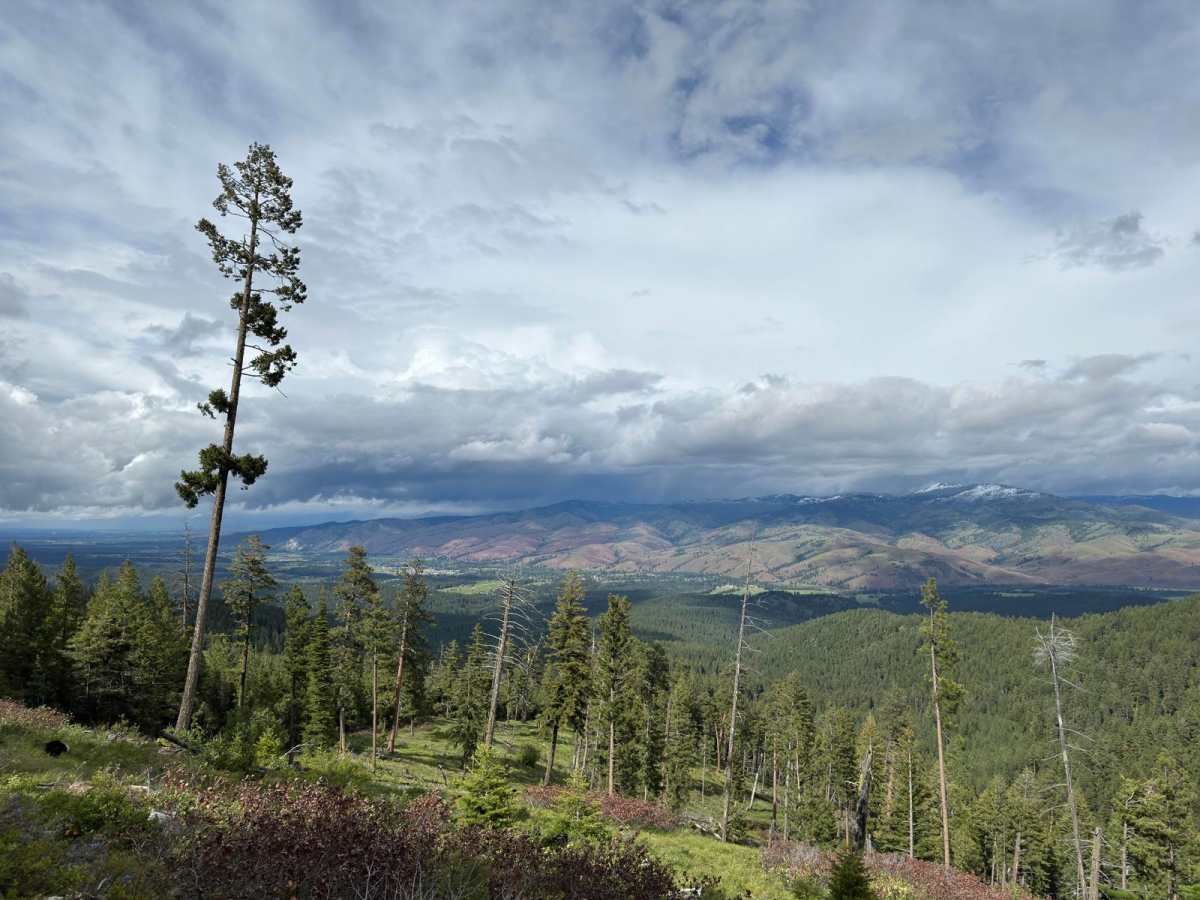 Upper Spoon Creek photo 4