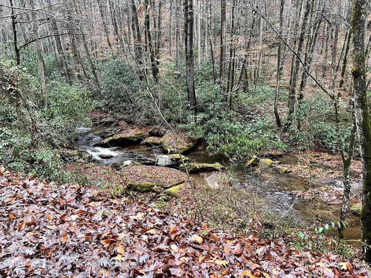 Creek Side Scenic Drive photo 3