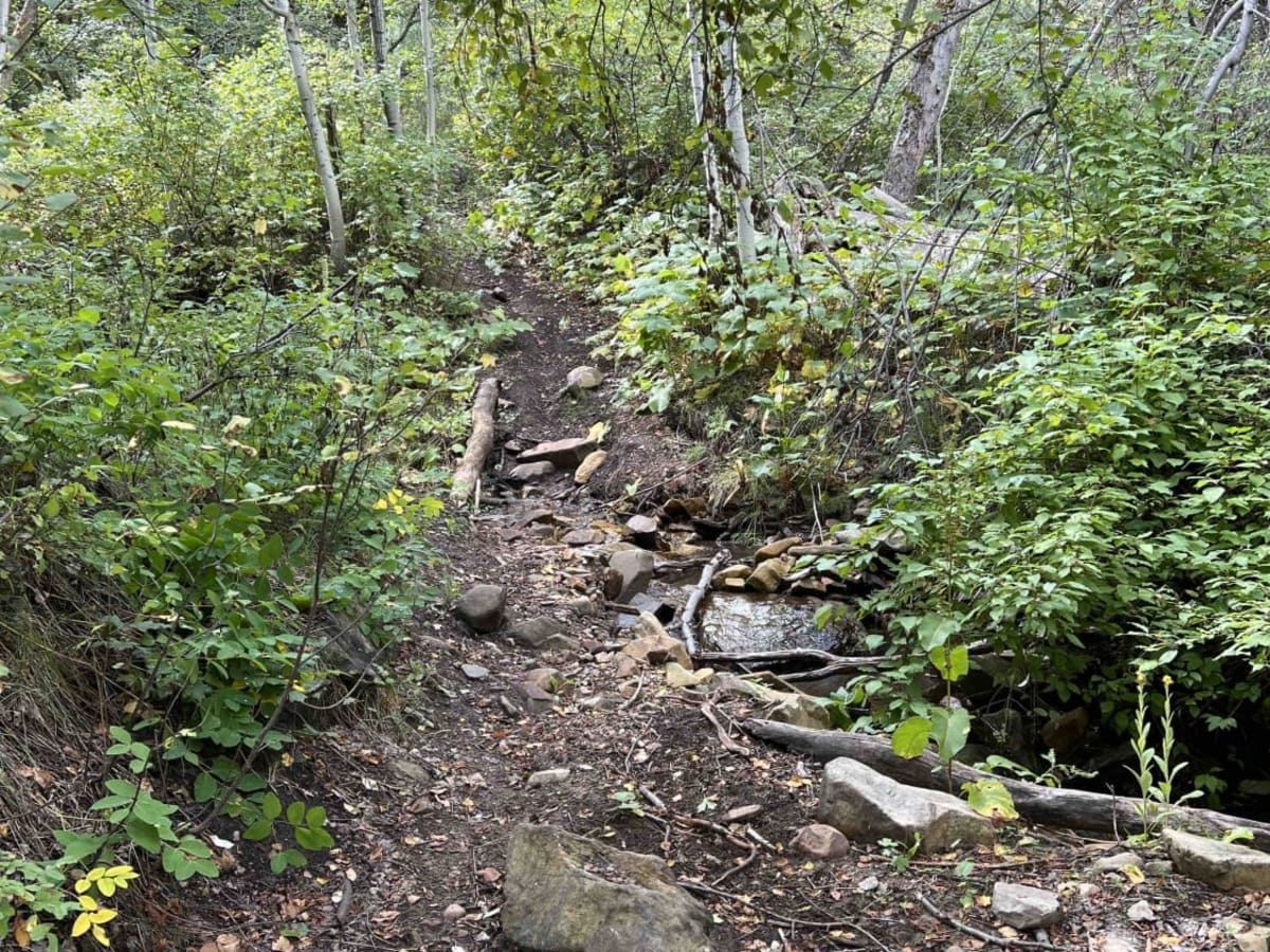Right Fork Days Canyon (8004) photo 5