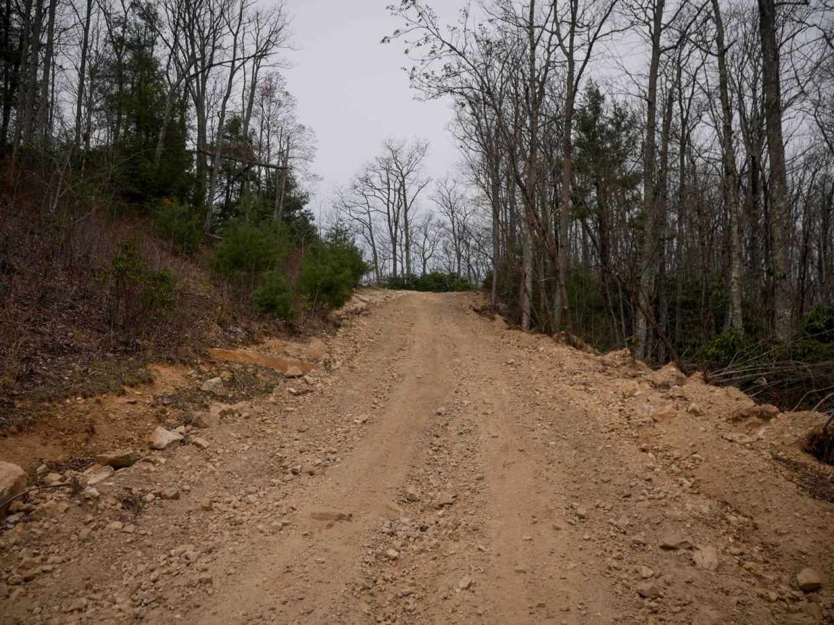20 trail photo