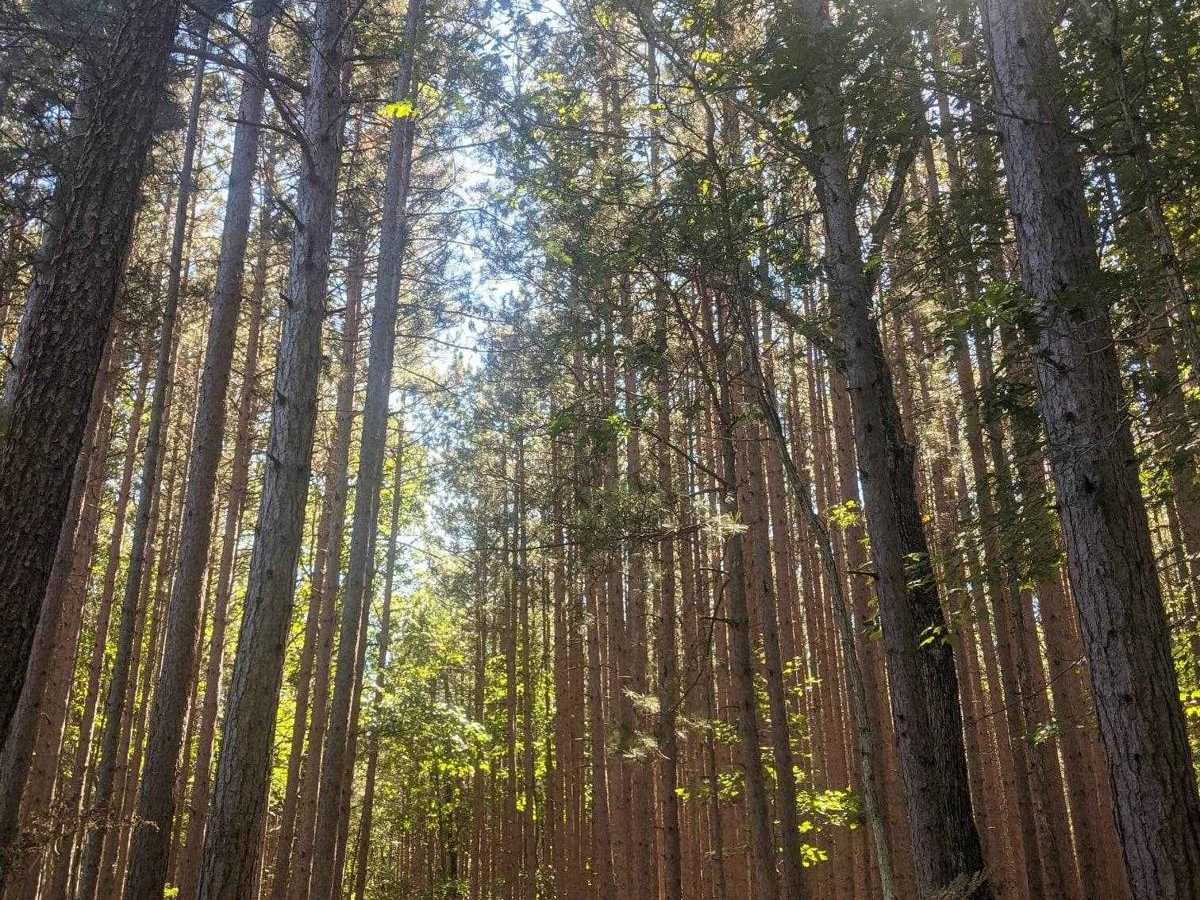 5757 trail photo