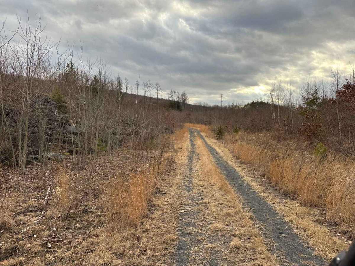 Ashland 89 Part 2 trail photo