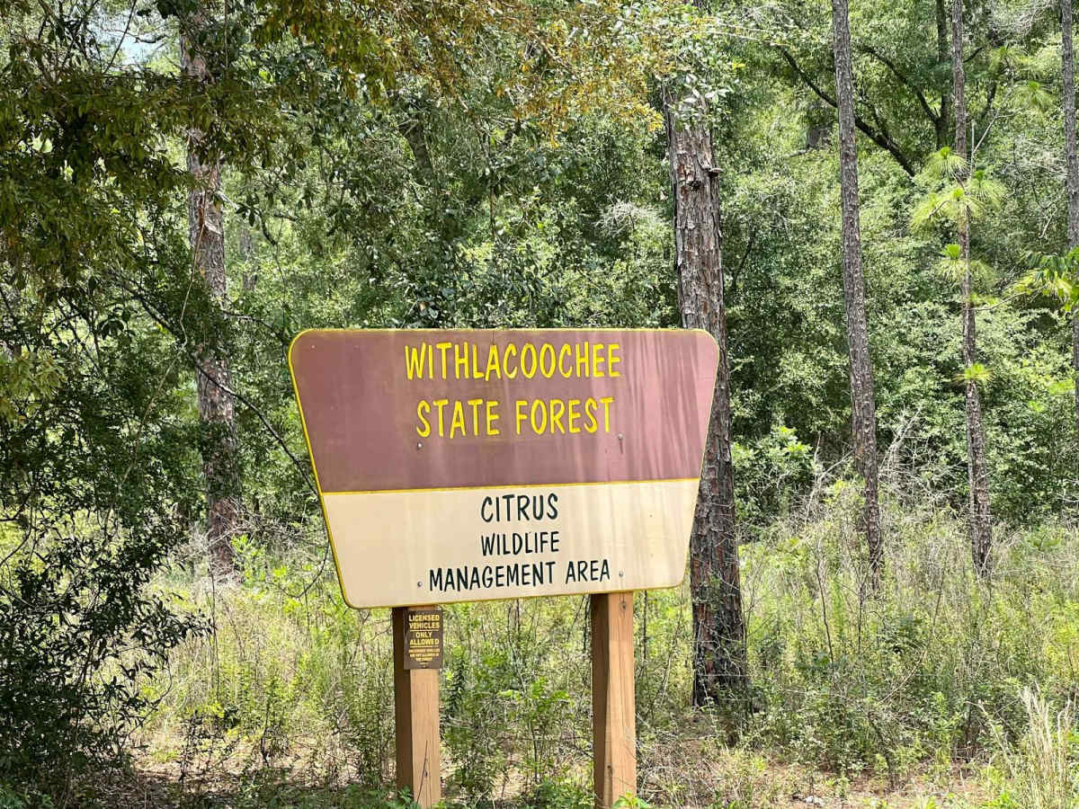 Citrus Wildlife Management | 11B trail photo