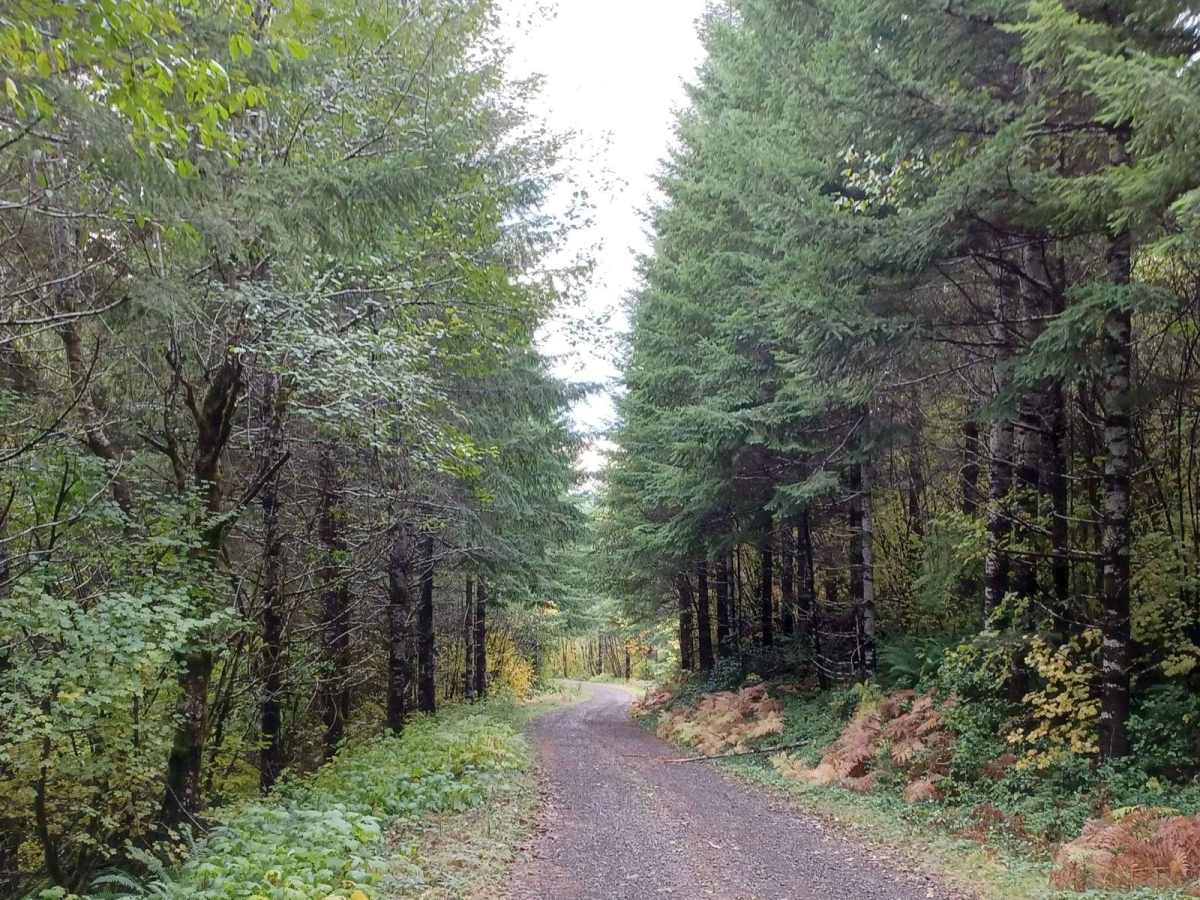 Little Hebo Access photo 2