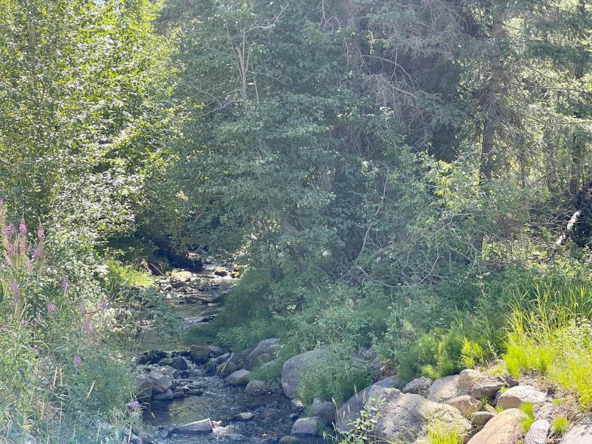 Truman Creek Road photo 5