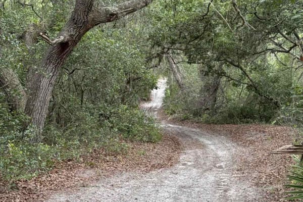 Deep Woods - ONF 42-27.6