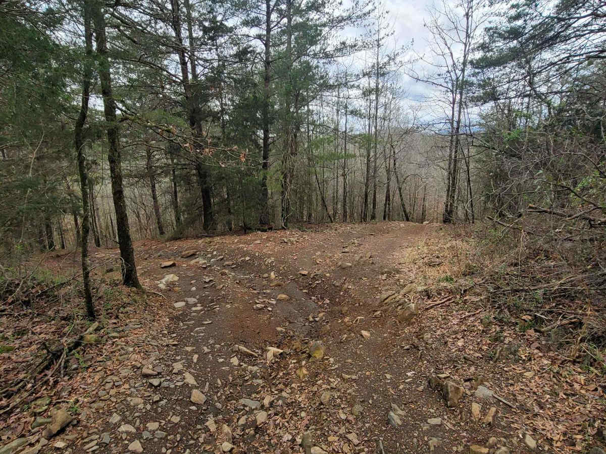 Copperhead Bypass photo 6