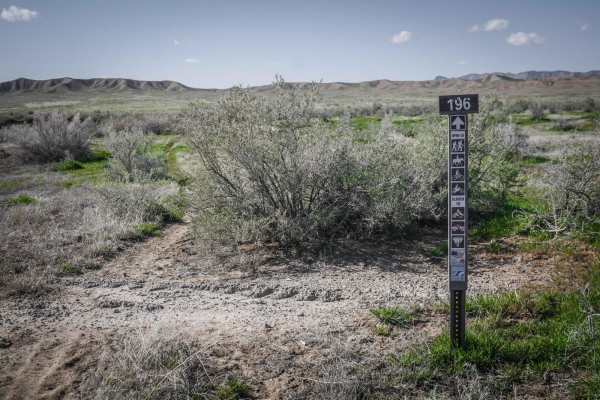 BLM Route 196