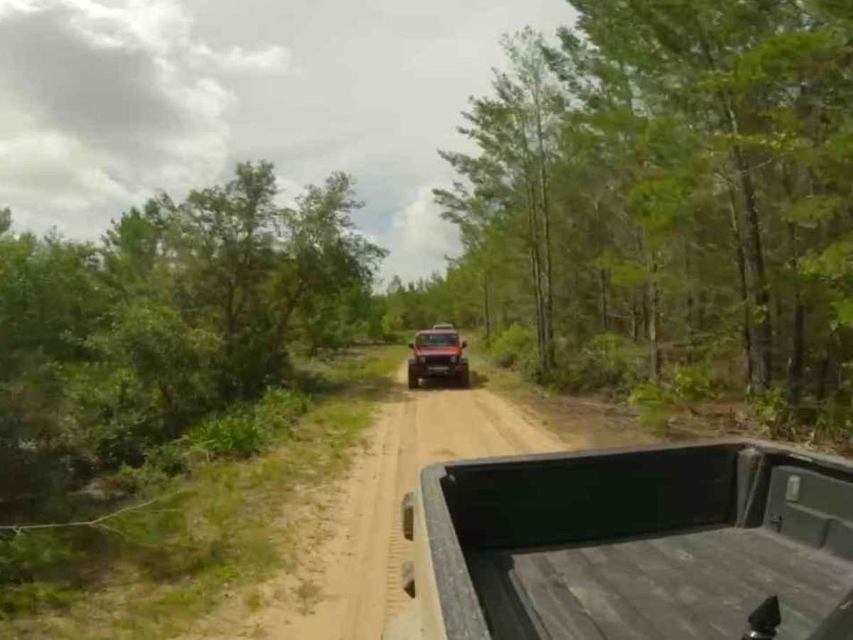 Trail to Miller Landing photo 3