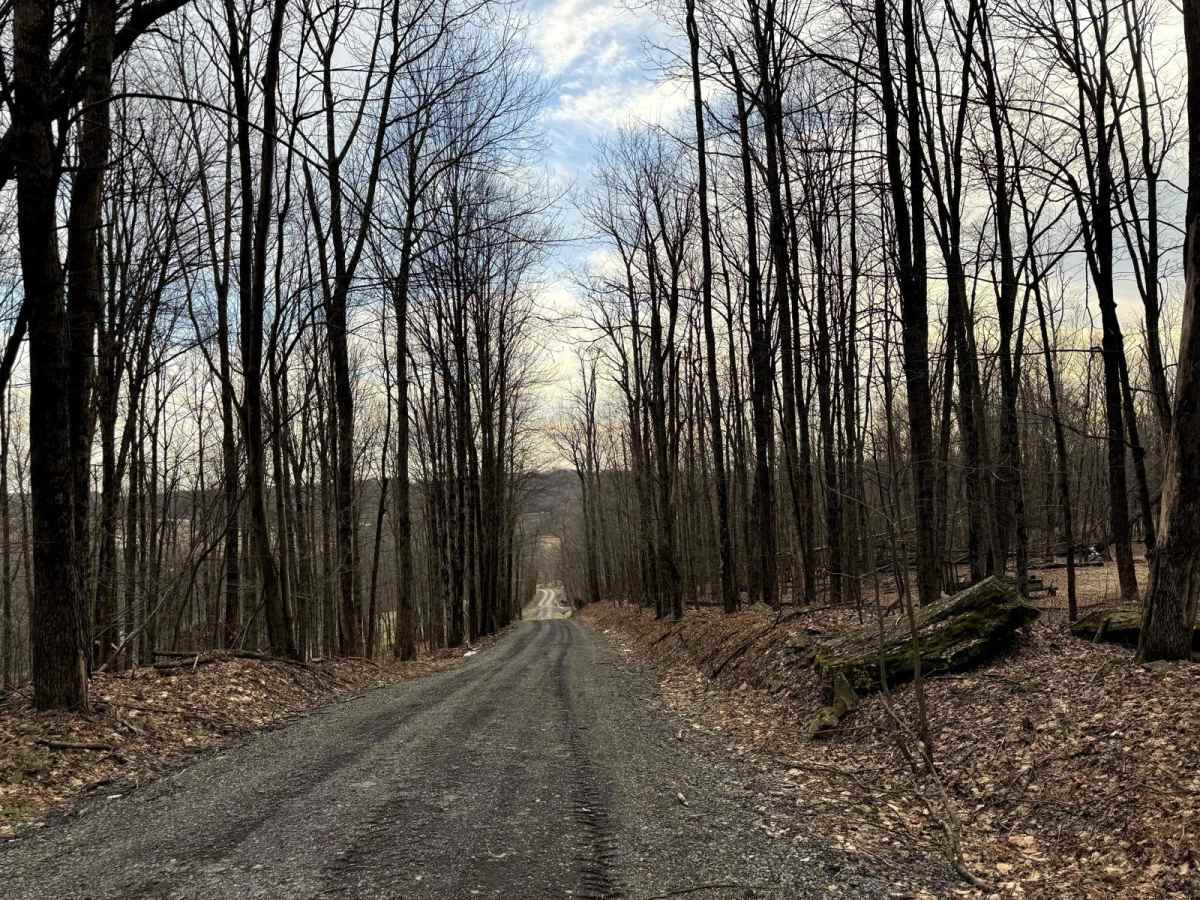 Brown Road photo 5