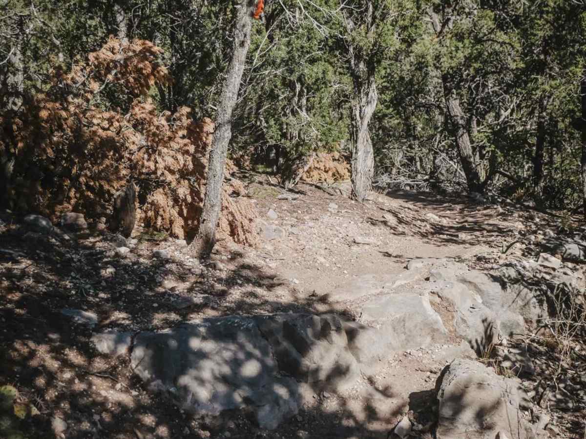 Rabbit Run trail photo