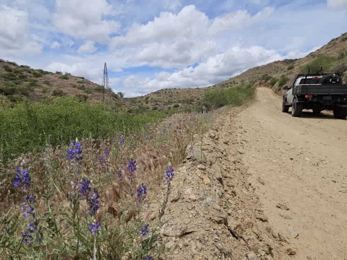 Walker Gulch to French Creek photo 4