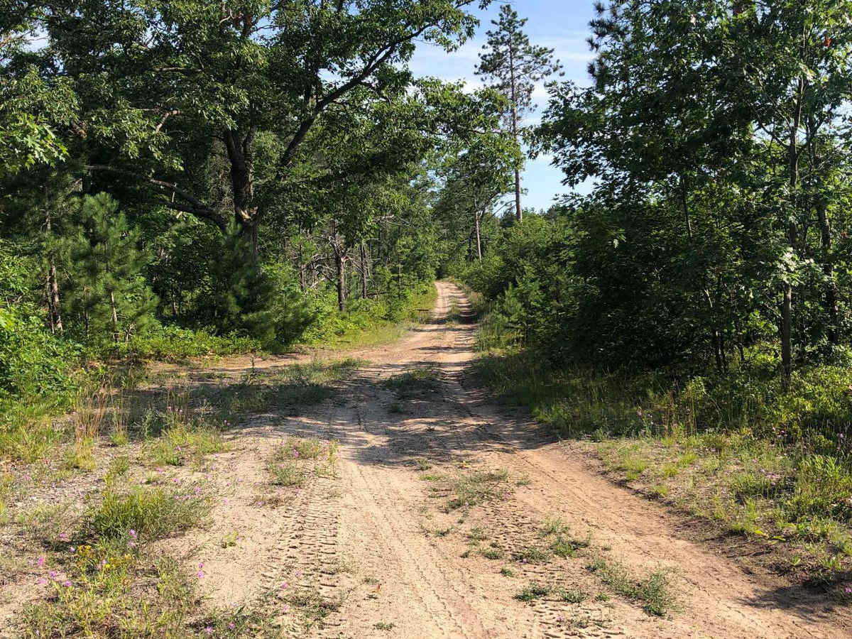 Brege Road trail photo