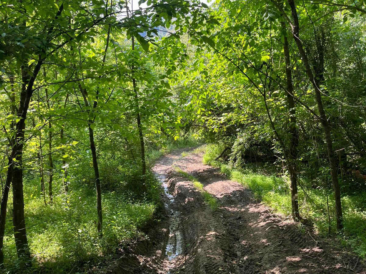 Trail 6 photo 3