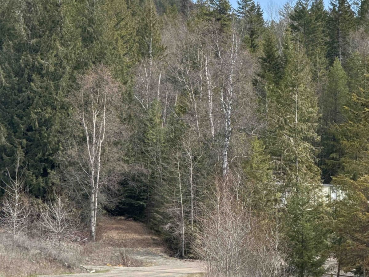 Spanish Lake via Silvernails Road photo 2