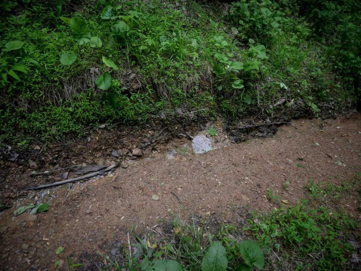 MV78 photo 5
