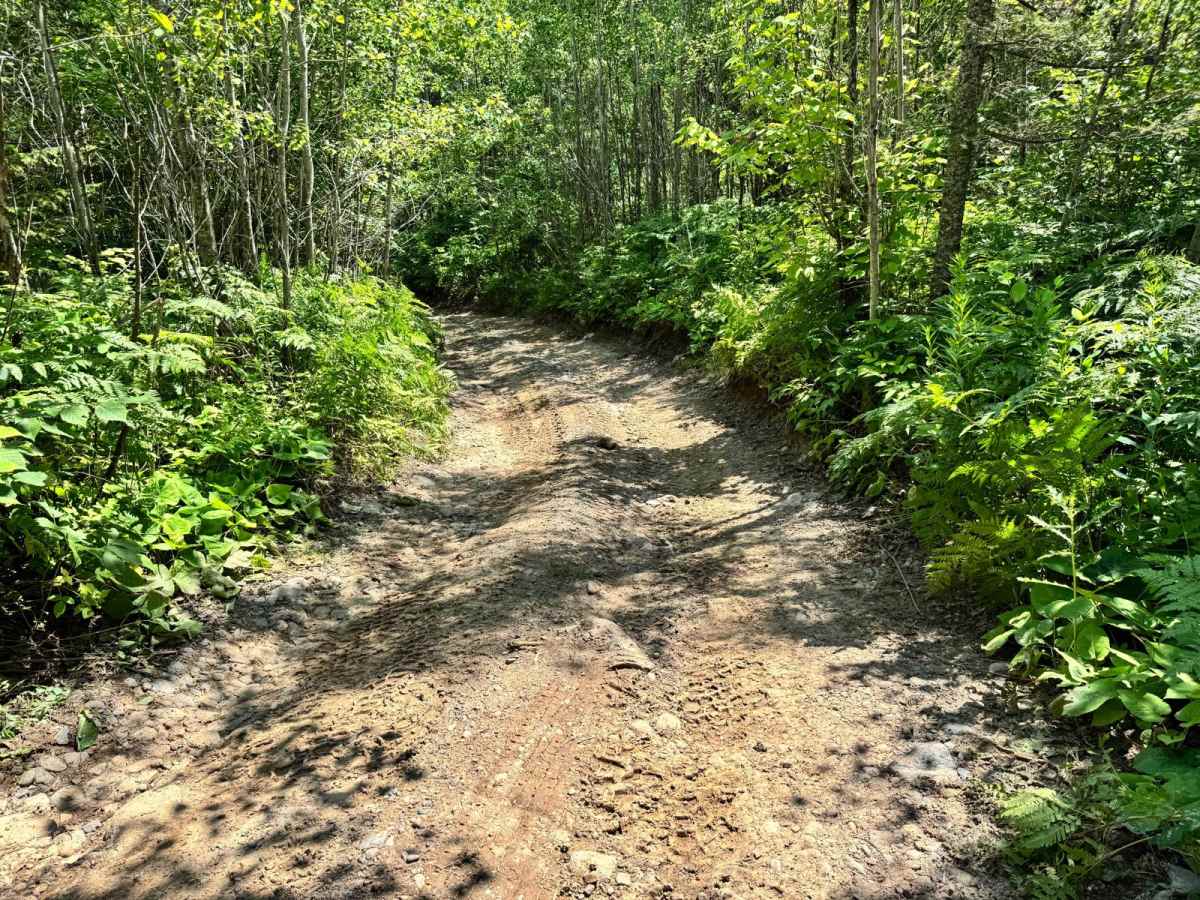 Horseshoe Loop photo 6