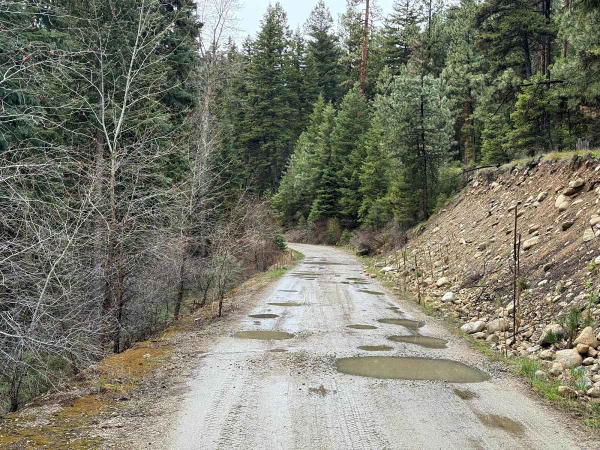 Trapper-Chaffin trail photo