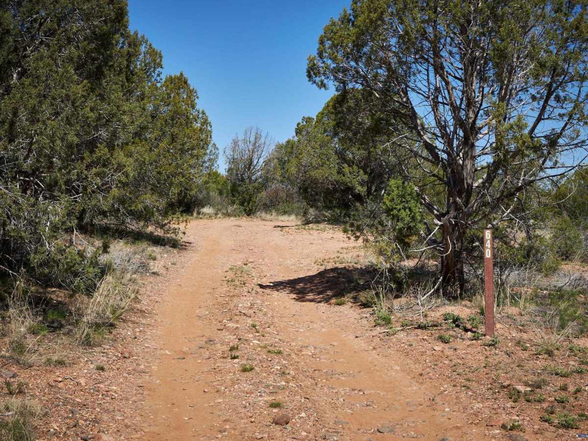 Barrata / 640 trail photo