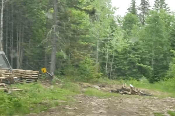 Peckerwood Spur