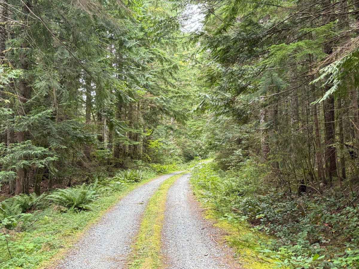 Murphy Creek photo 3