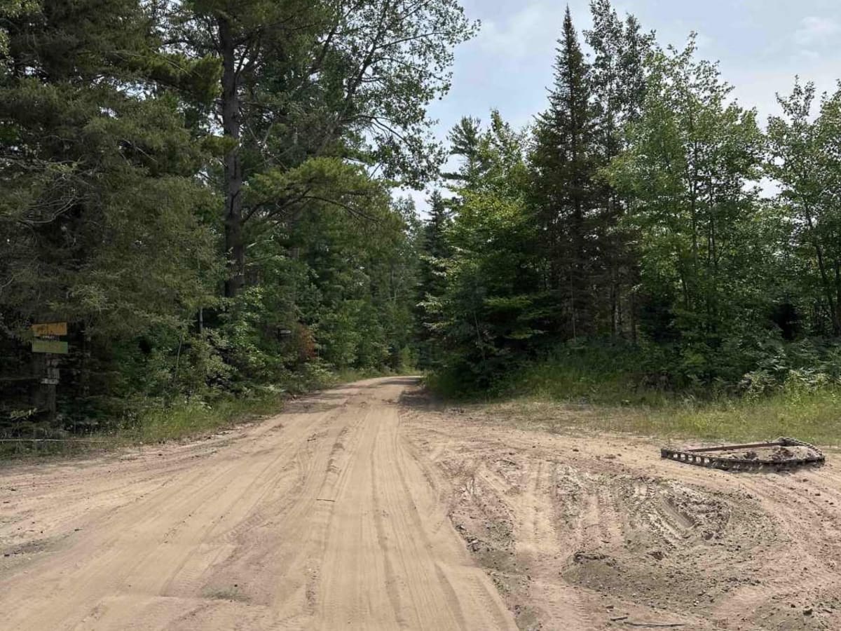 Chris Brown Lake trail photo