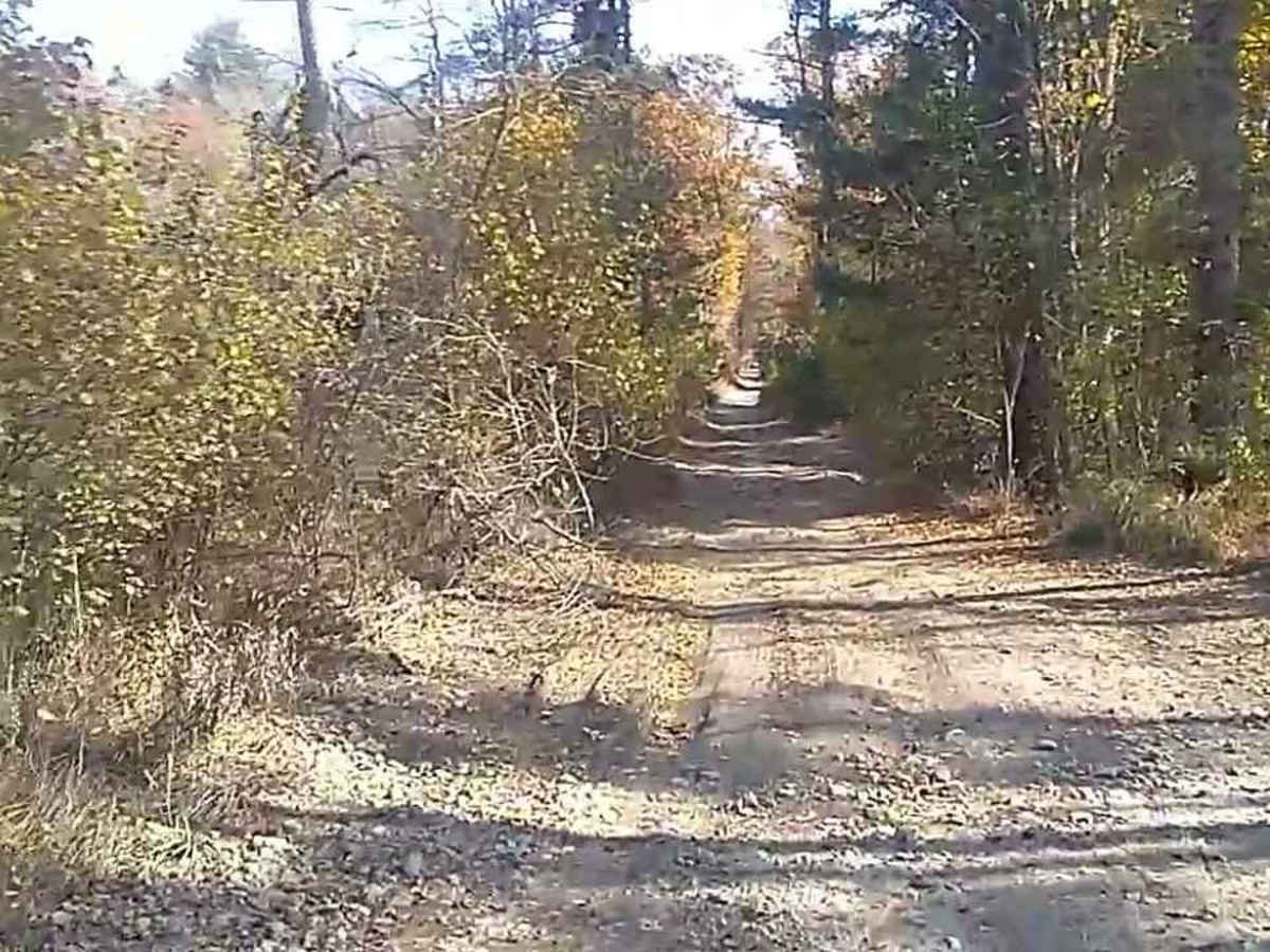 Baker & Cruff Roads photo 2