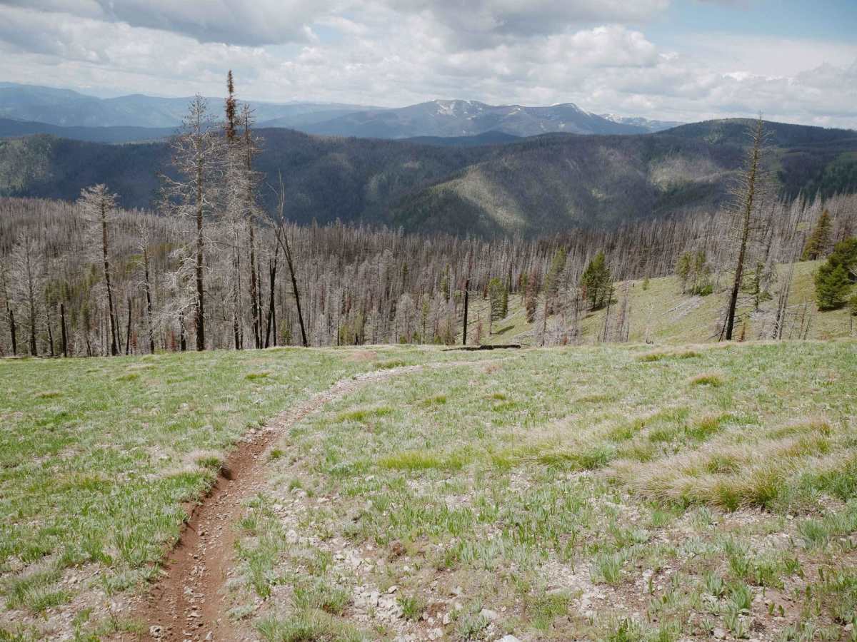Three Mile Ridge photo 6