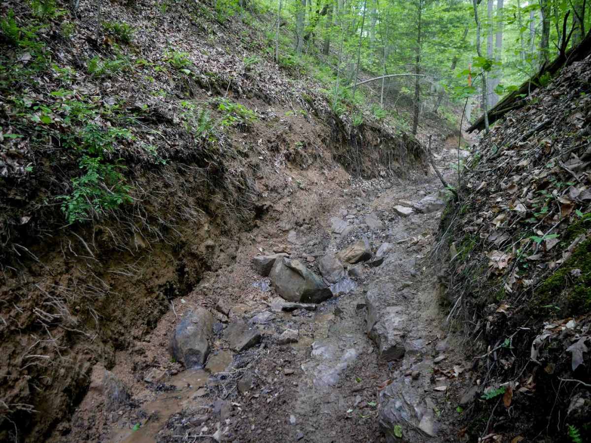 Puke Creek photo 2