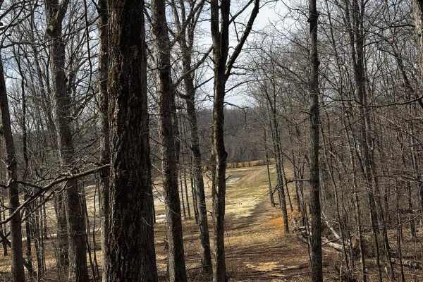 Backside Hill Climb Access