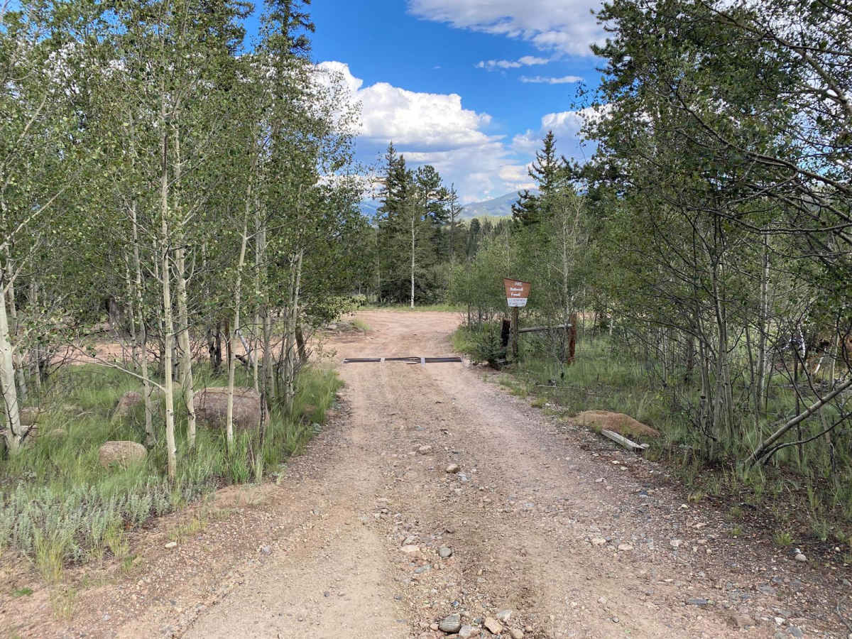Observatory Rock Road FS 148 trail photo