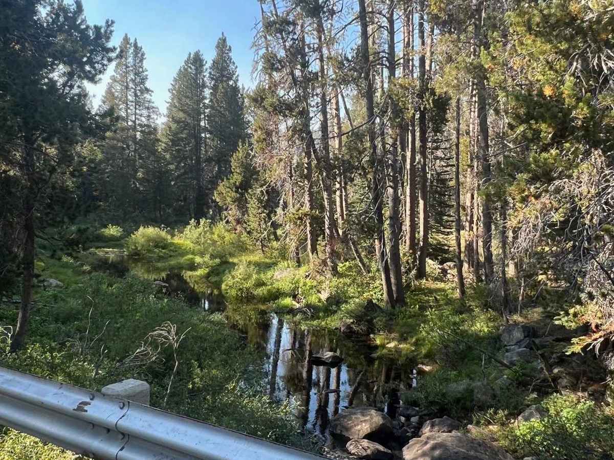 Pinecrest Lookout photo 5