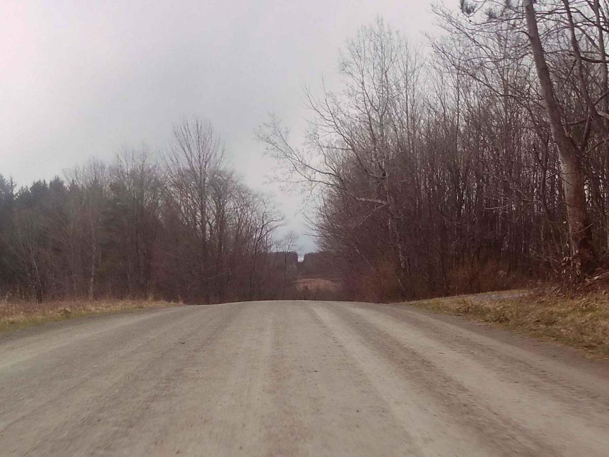 Reagan Hill Road photo 6