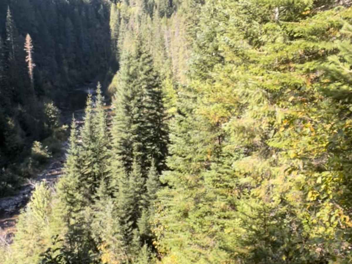 Slate Creek photo 4