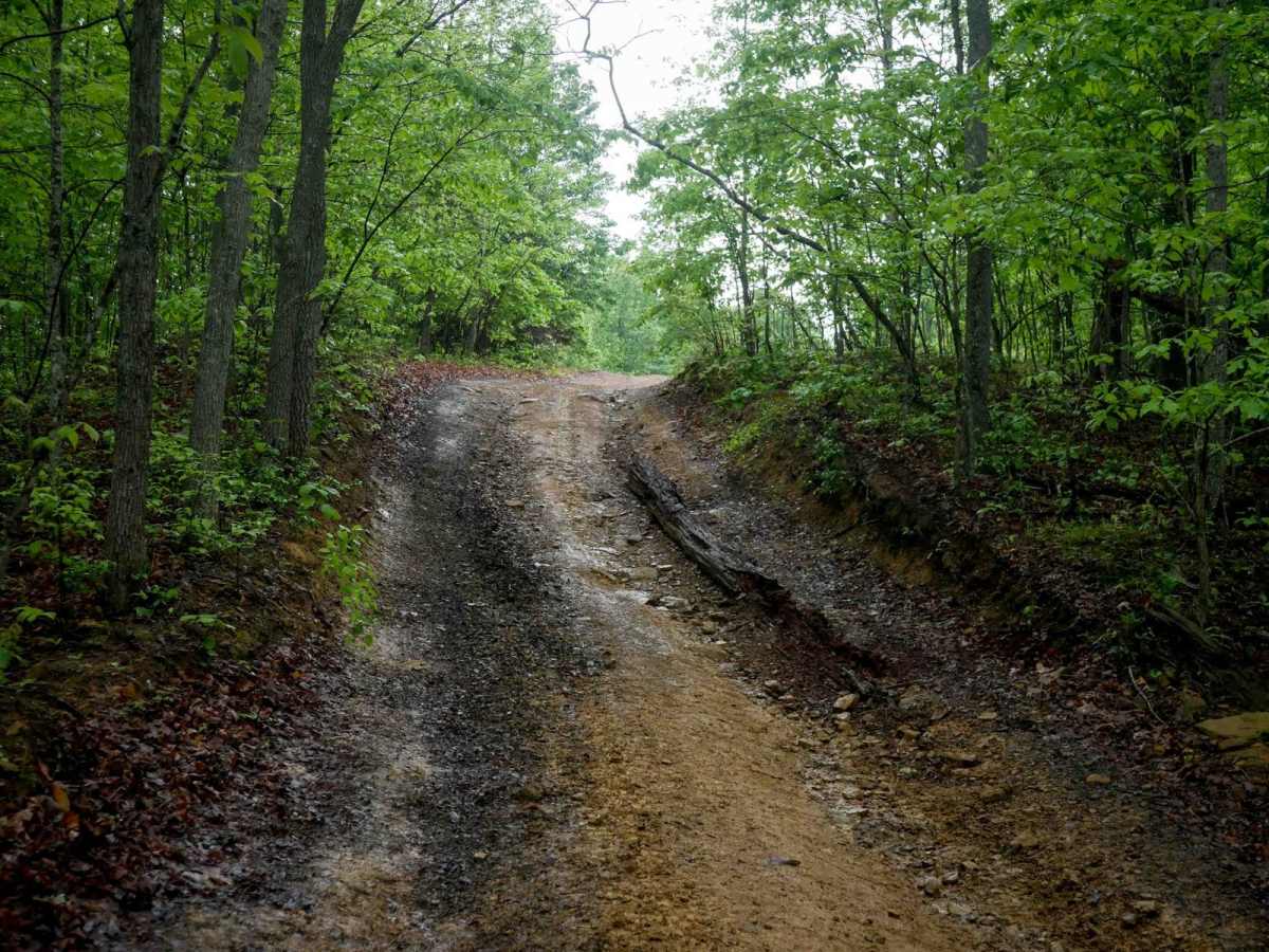 IB 56 trail photo