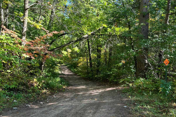 The Narrow Bull Moose Trail