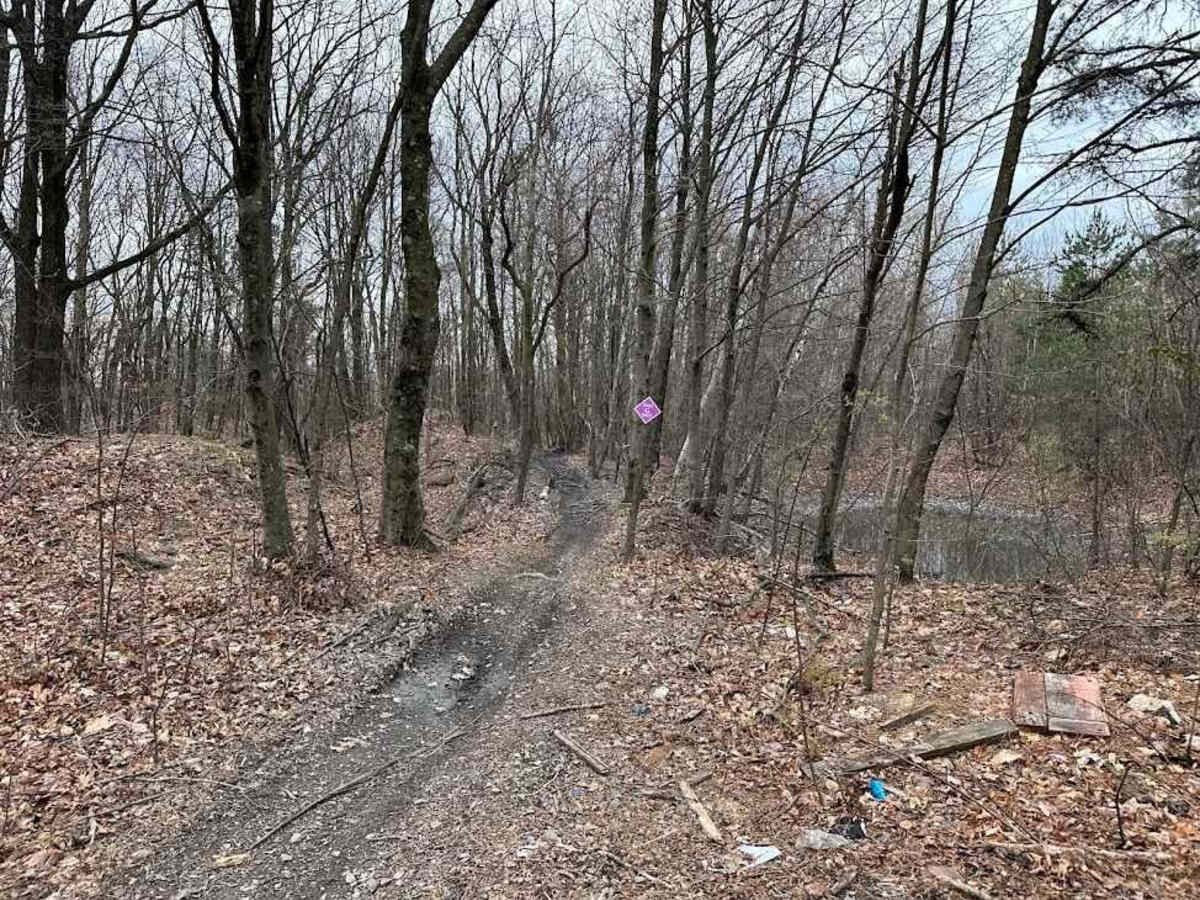 Burma Single Track 10 trail photo