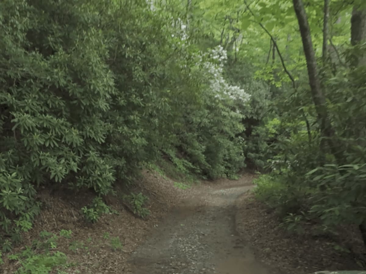 Hale Ridge photo 4