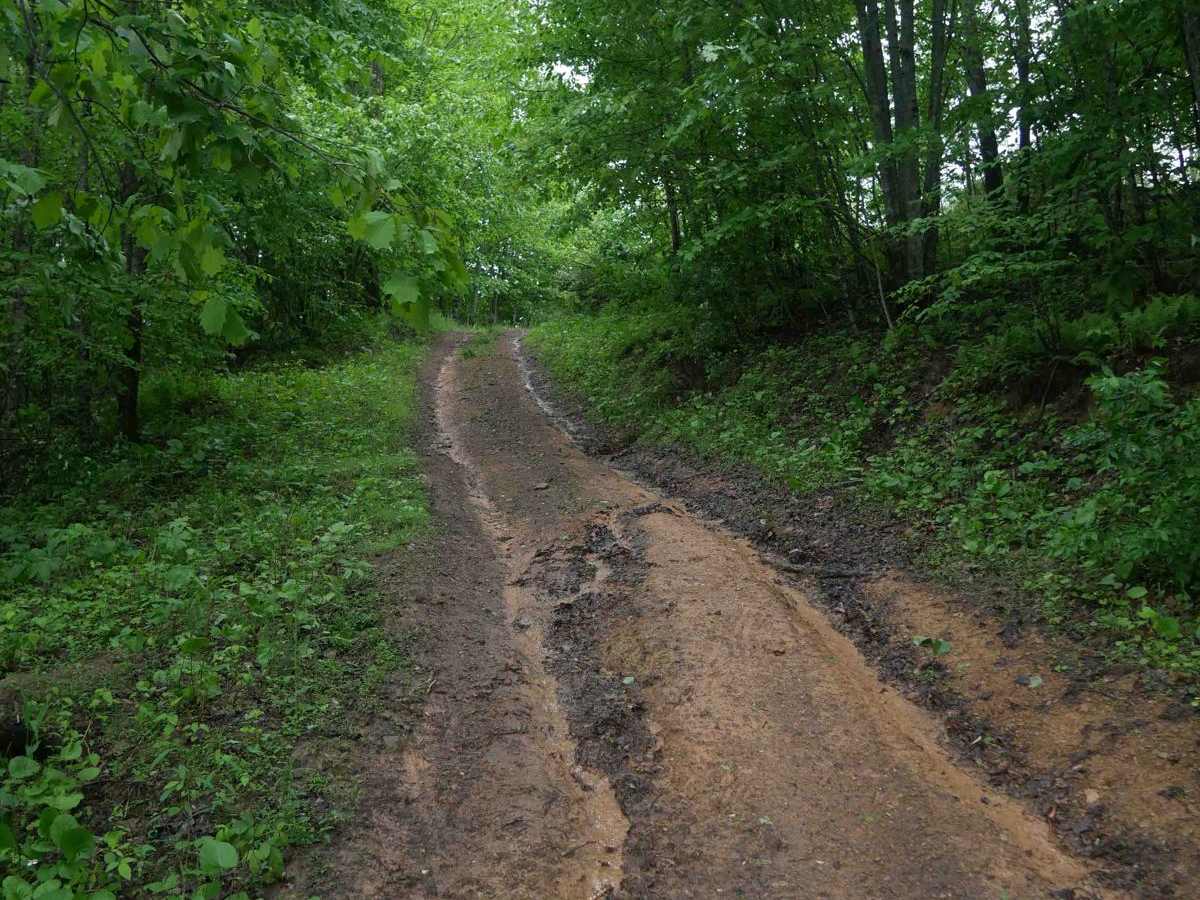CC47 trail photo