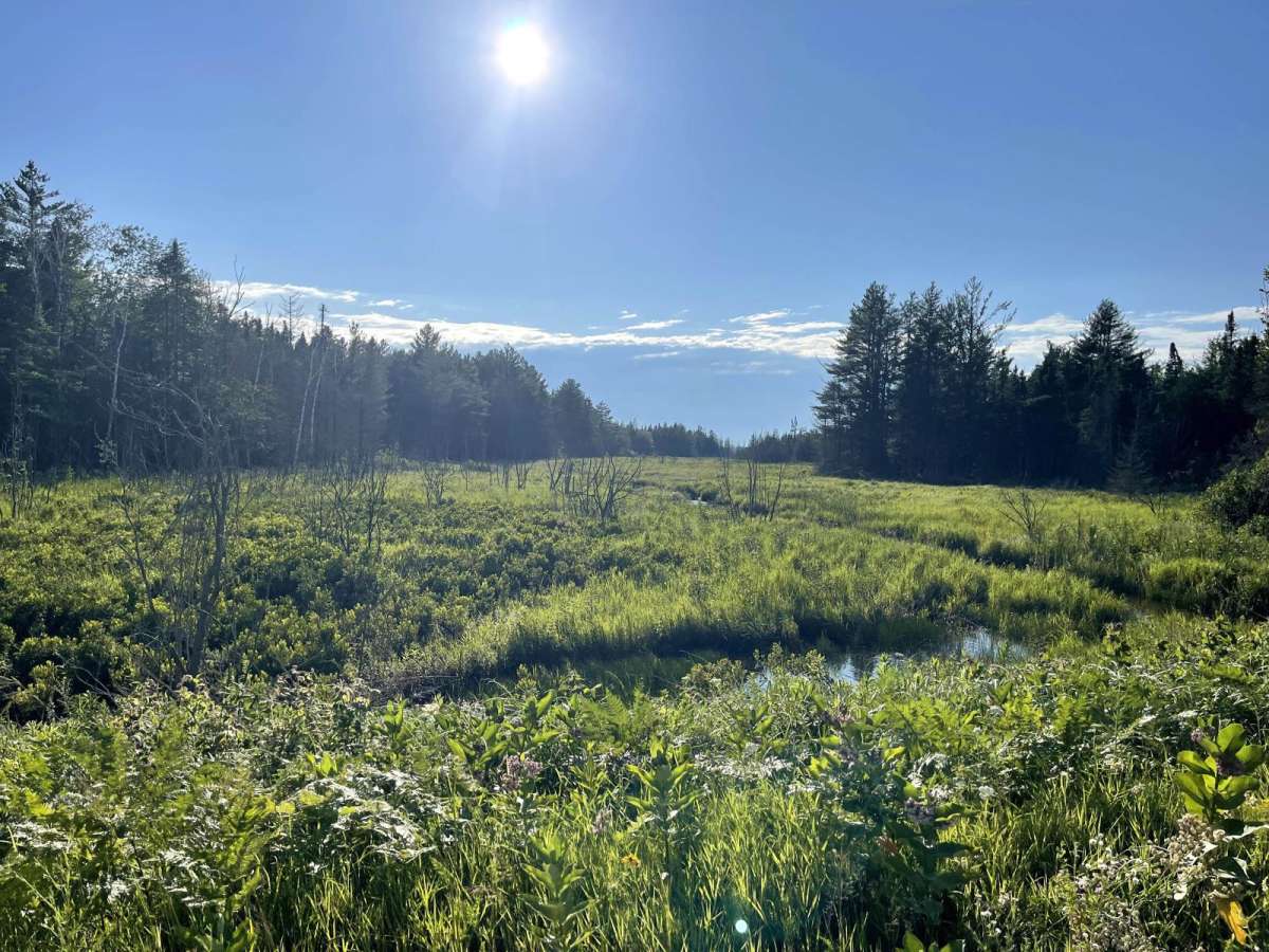Hay Lake Road - FS 3413 photo 5